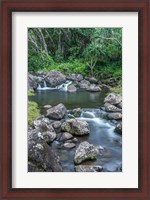 Framed Limahuli Garden And Preserve, Kauai, Hawaii