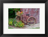 Framed Old Bicycle With Flower Basket, Marion County, Illinois