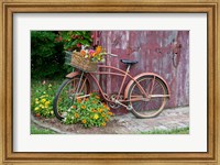 Framed Old Bicycle With Flower Basket, Marion County, Illinois