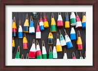 Framed Colorful Buoys Hanging On Wall, Bar Harbor, Maine