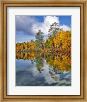 Framed Autumn Scene Of Upper Togue Pond, Maine