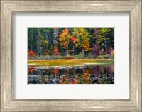 Framed Somes Pond In Autumn, Somesville, Maine