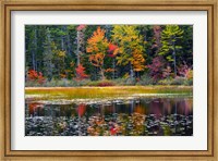 Framed Somes Pond In Autumn, Somesville, Maine