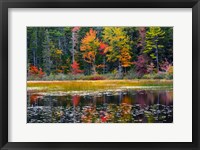 Framed Somes Pond In Autumn, Somesville, Maine