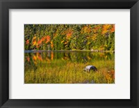 Framed Autumn Reflections In Bubble Pond, Acadia National Park, Maine