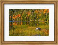 Framed Autumn Reflections In Bubble Pond, Acadia National Park, Maine