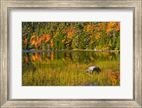 Framed Autumn Reflections In Bubble Pond, Acadia National Park, Maine