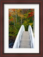 Framed White Footbridge Path, Maine