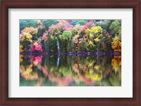 Framed Great Long Pond Reflection,  Maine