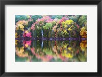 Framed Great Long Pond Reflection,  Maine