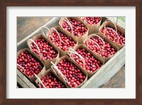 Framed Bagged Cranberries