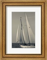 Framed Schooner #22 Sailing, Massachusetts (BW)