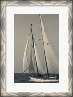 Framed Schooner #22 Sailing, Massachusetts (BW)