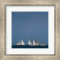 Framed Three Schooners Sailing In Cape Ann