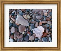 Framed Maple Leaf And Rocks Along The Shore Of Lake Superior
