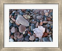 Framed Maple Leaf And Rocks Along The Shore Of Lake Superior