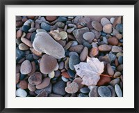 Framed Maple Leaf And Rocks Along The Shore Of Lake Superior