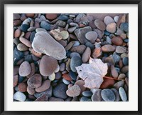 Framed Maple Leaf And Rocks Along The Shore Of Lake Superior