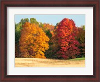 Framed Autumn In The Upper Peninsula Of The Hiawatha National Forest