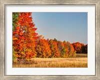 Framed Fall Colors Of The Hiawatha National Forest