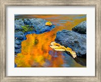 Framed Michigan, Upper Peninsula Fall Colors Reflecting In River With Leaves Floating