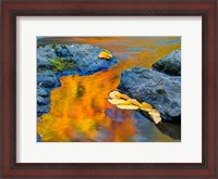 Framed Michigan, Upper Peninsula Fall Colors Reflecting In River With Leaves Floating