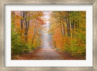 Framed Autumn Road In Schoolcraft County, Michigan