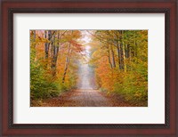 Framed Autumn Road In Schoolcraft County, Michigan