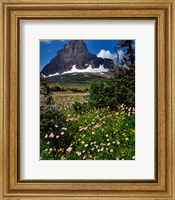 Framed Clements Mountain, Glacier National Park, Montana