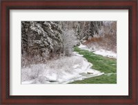 Framed Coal Creek In The Winter, Montana