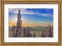 Framed Snowghosts In Whitefish, Montana