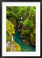 Framed Avalanche Creek, Glacier National Park, Montana