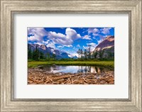Framed Driftwood And Pond, Saint Mary Lake, Glacier National Park, Montana
