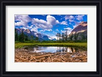 Framed Driftwood And Pond, Saint Mary Lake, Glacier National Park, Montana