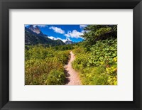 Framed Iceberg Lake Trail, Glacier National Park, Montana