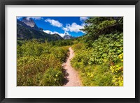 Framed Iceberg Lake Trail, Glacier National Park, Montana