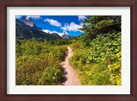 Framed Iceberg Lake Trail, Glacier National Park, Montana