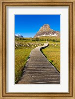 Framed Hidden Lake Trail At Logan Pass, Glacier National Park, Montana