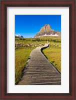 Framed Hidden Lake Trail At Logan Pass, Glacier National Park, Montana