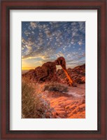 Framed Elephant Rock, Valley Of Fire State Park, Nevada