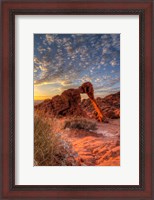 Framed Elephant Rock, Valley Of Fire State Park, Nevada