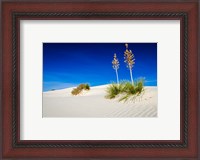 Framed Soaptree Yucca And Dunes, White Sands National Monument, New Mexico