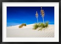 Framed Soaptree Yucca And Dunes, White Sands National Monument, New Mexico