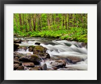 Framed Water Flows At Straight Fork, North Carolina