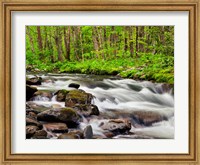 Framed Water Flows At Straight Fork, North Carolina