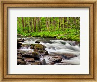 Framed Water Flows At Straight Fork, North Carolina