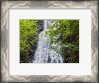 Framed Mingo Falls, North Carolina
