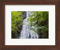 Framed Mingo Falls, North Carolina