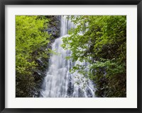 Framed Mingo Falls, North Carolina