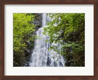 Framed Mingo Falls, North Carolina